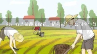 问：我是做蔬菜配送。请问起什麼公司名字好？