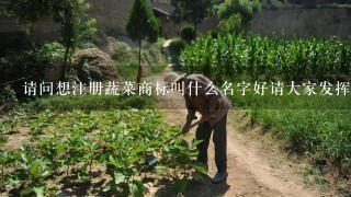 请问想注册蔬菜商标叫什么名字好请大家发挥1下