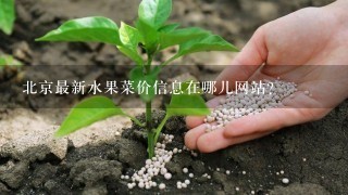 北京最新水果菜价信息在哪儿网站?