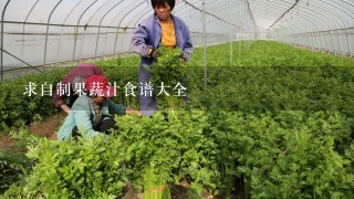 求自制果蔬汁食谱大全