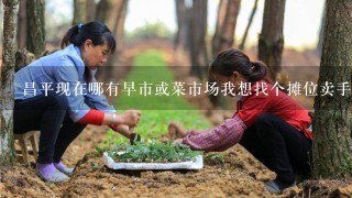 昌平现在哪有早市或菜市场我想找个摊位卖手擀面