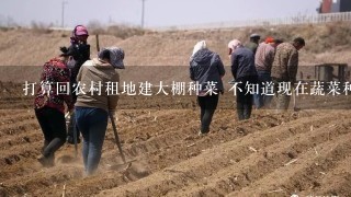 打算回农村租地建大棚种菜 不知道现在蔬菜种植前景怎么样？ 大家给点意见`````