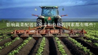 影响蔬菜配送公司采购价格的因素都有哪些？