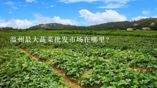 温州最大蔬菜批发市场在哪里？