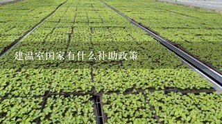 建温室国家有什么补助政策