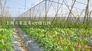 上海买菜送菜app排行榜