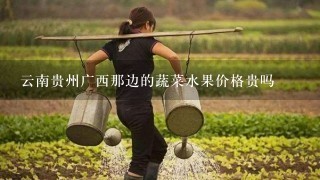 云南贵州广西那边的蔬菜水果价格贵吗