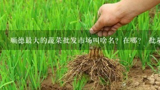 顺德最大的蔬菜批发市场叫啥名？在哪？ 批量的那种。 导航怎么去？