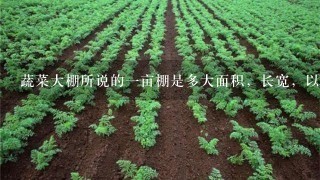 蔬菜大棚所说的1亩棚是多大面积，长宽，以及具体投