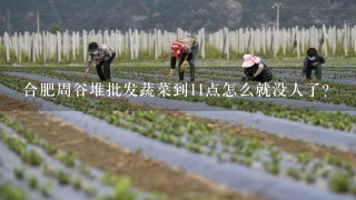 合肥周谷堆批发蔬菜到11点怎么就没人了？