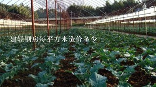 建轻钢房每平方米造价多少