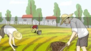 甘肃兰州到云南宁洱县线路