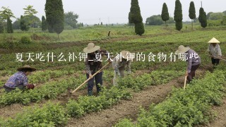 夏天吃什么补钾_夏天补钾的食物有哪些