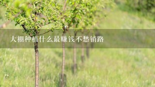 大棚种植什么最赚钱不愁销路