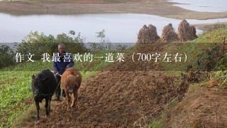 作文 我最喜欢的1道菜（700字左右）