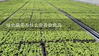 绿色蔬菜为什么营养价值高