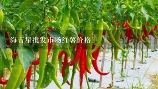 海吉星批发市场红薯价格？