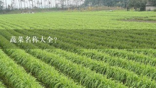 蔬菜名称大全？