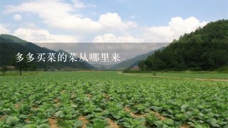 多多买菜的菜从哪里来