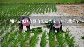 广州附近地区有没有配送到家的有机蔬菜农场？求推荐