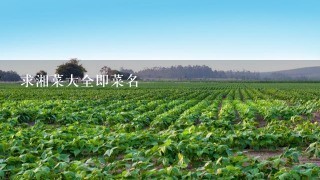 求湘菜大全即菜名