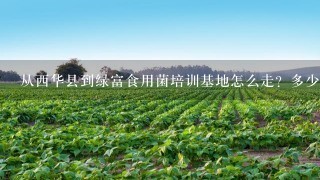 从西华县到绿富食用菌培训基地怎么走？多少钱？