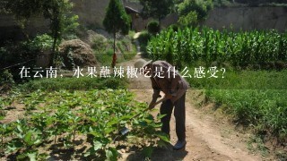 在云南，水果蘸辣椒吃是什么感受？