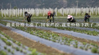 蔬菜价格上涨了,国家严控,蔬菜价格下跌了,国家采取了什么样的措施,这些措施到底是在保护谁?