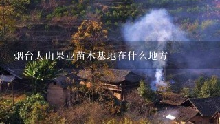 烟台大山果业苗木基地在什么地方