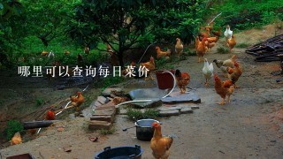 哪里可以查询每日菜价