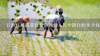 长沙红星蔬菜批发市场到人民中路打的多少钱