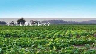 小学英语蔬菜单词大全