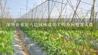 深华新重组8达园林成功了吗为何股票大跌