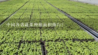 中国各省蔬菜种植面积排行？