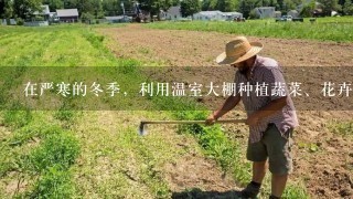 在严寒的冬季，利用温室大棚种植蔬菜、花卉、水果，既可以...