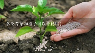 多吃芹菜和橙子可以补钙吗?