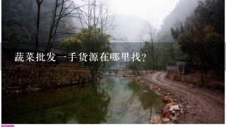 蔬菜批发1手货源在哪里找?