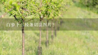 白萝卜3棱条切法图片？