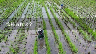 饮料名称大全