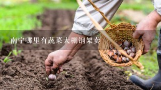 南宁哪里有蔬菜大棚钢架卖