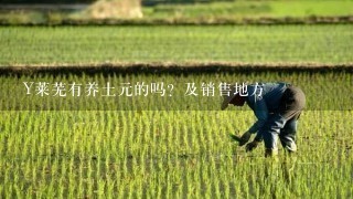 Y莱芜有养土元的吗？及销售地方