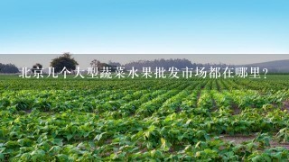 北京几个大型蔬菜水果批发市场都在哪里？