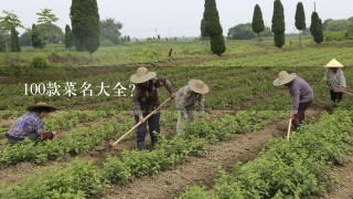 100款菜名大全?