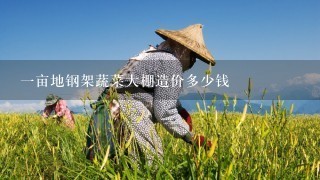 1亩地钢架蔬菜大棚造价多少钱