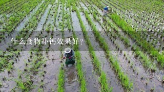 什么食物补钙效果好？