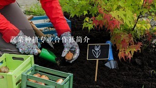 蔬菜种植专业合作社简介