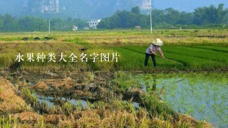 水果种类大全名字图片