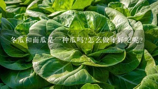 冬瓜和面瓜是1种瓜吗?怎么做才好吃呢?