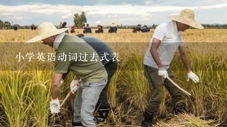 小学英语动词过去式表