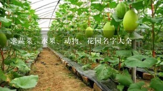 求蔬菜、水果、动物、花园名字大全